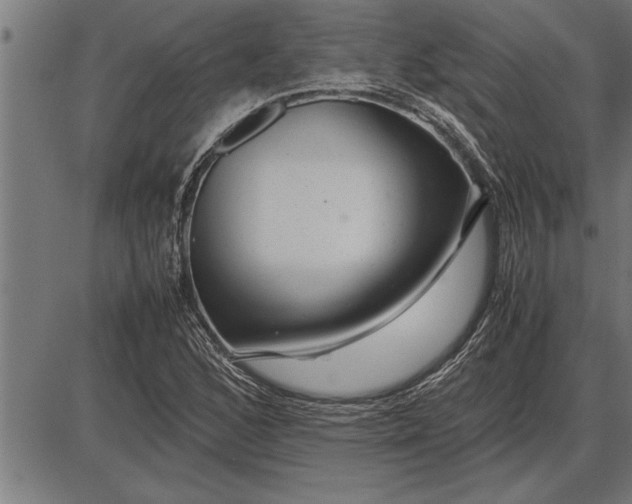 X0000086091168200704091319