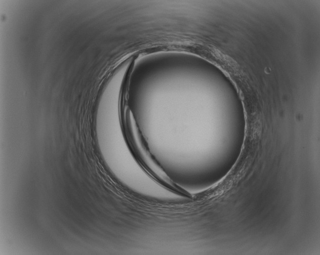 X0000086091169200704091319