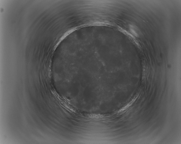 X0000086091170200704091319