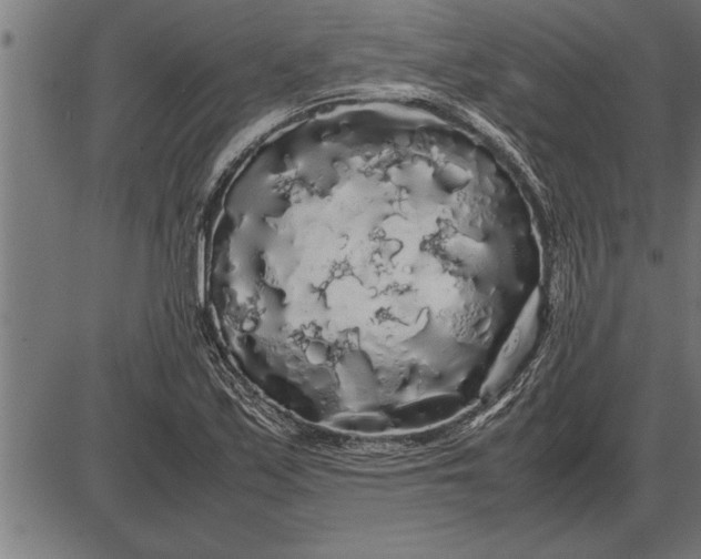 X0000086091171200704091319