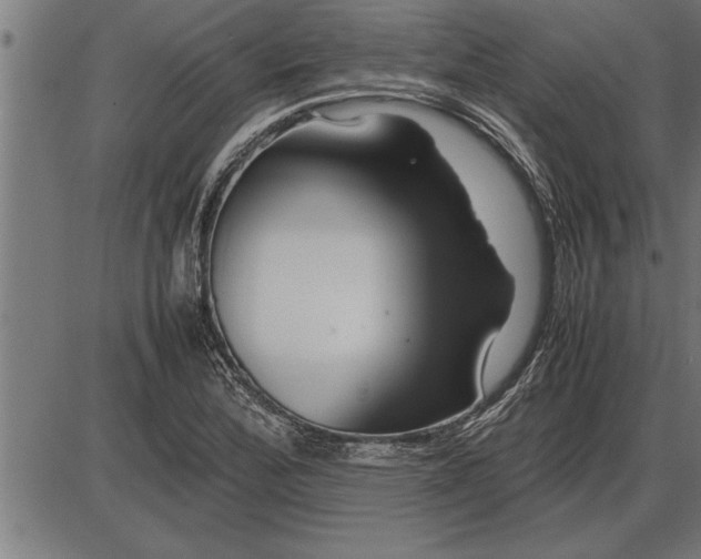 X0000086091172200704091319