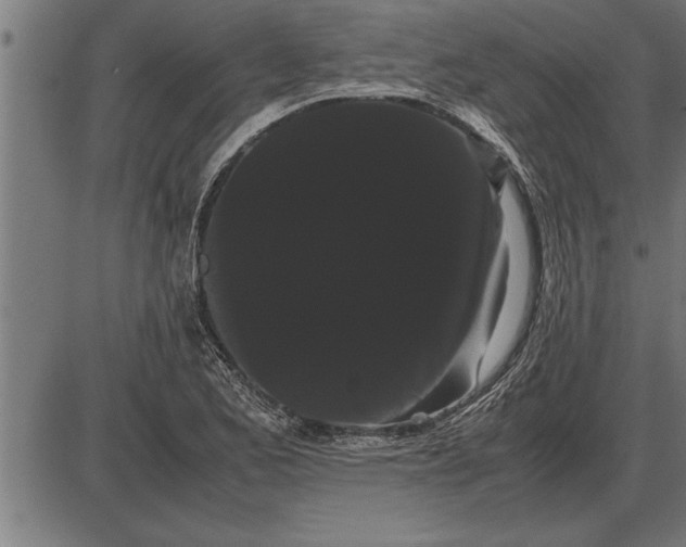 X0000086091173200704091319