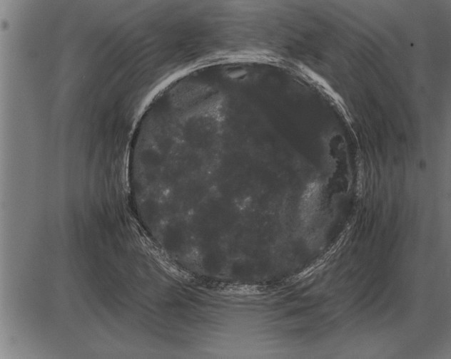 X0000086091174200704091319