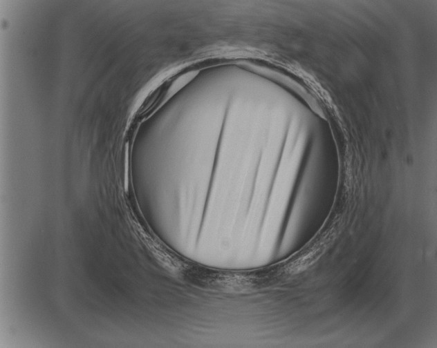 X0000086091175200704091319