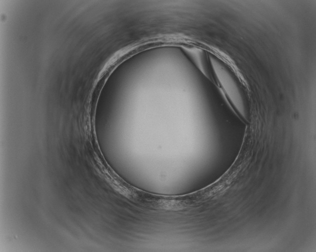 X0000086091176200704091319