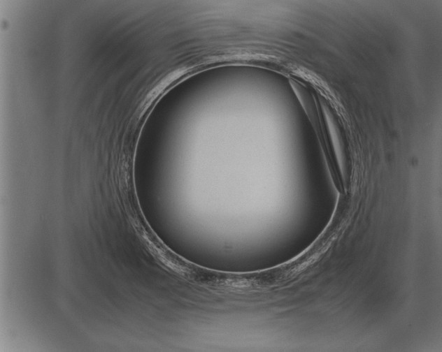 X0000086091177200704091319