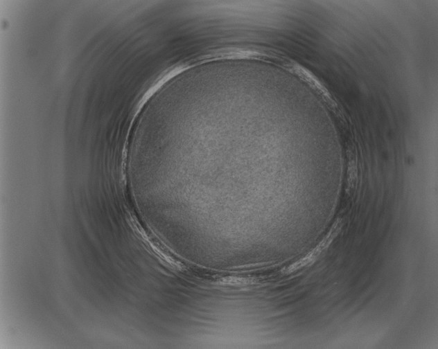 X0000086091178200704091319