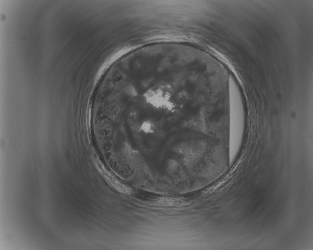 X0000086091179200704091319