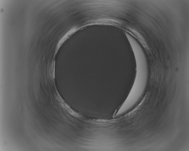 X0000086091180200704091319