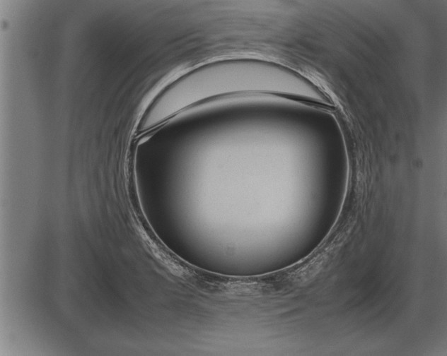 X0000086091181200704091319