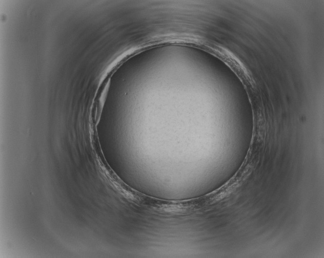 X0000086091182200704091319