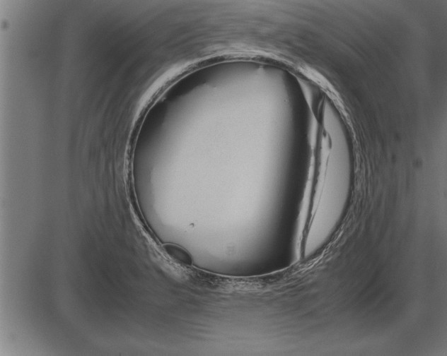 X0000086091183200704091319