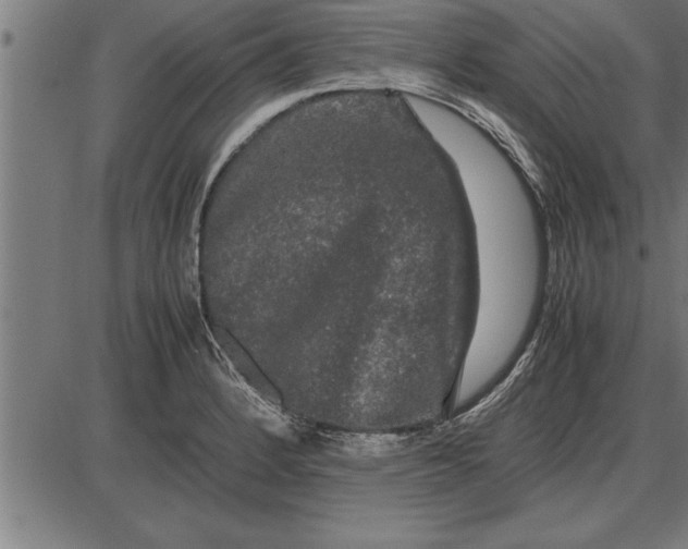 X0000086091184200704091319