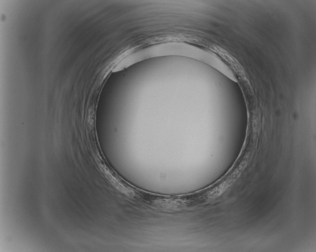 X0000086091185200704091319