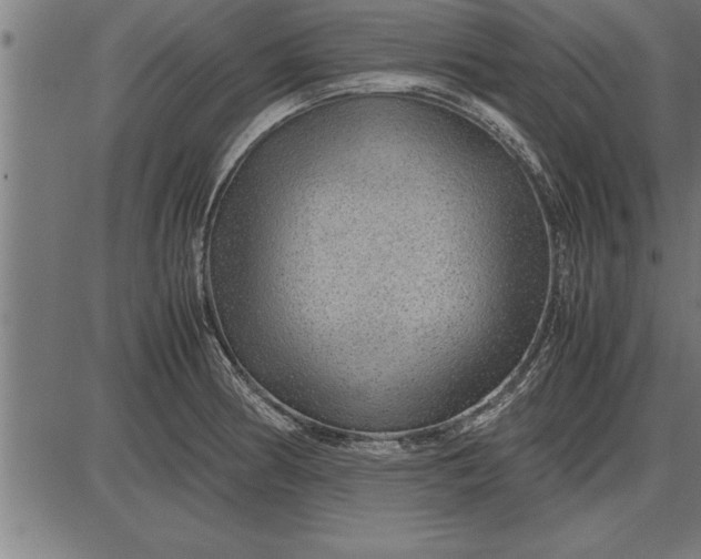 X0000086091186200704091319