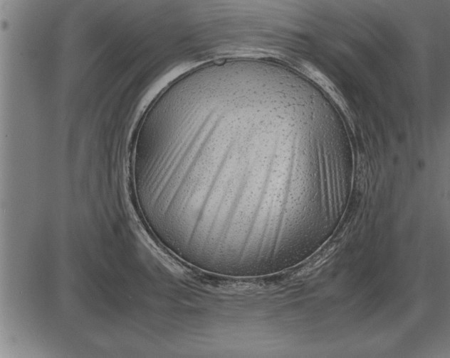 X0000086091187200704091319