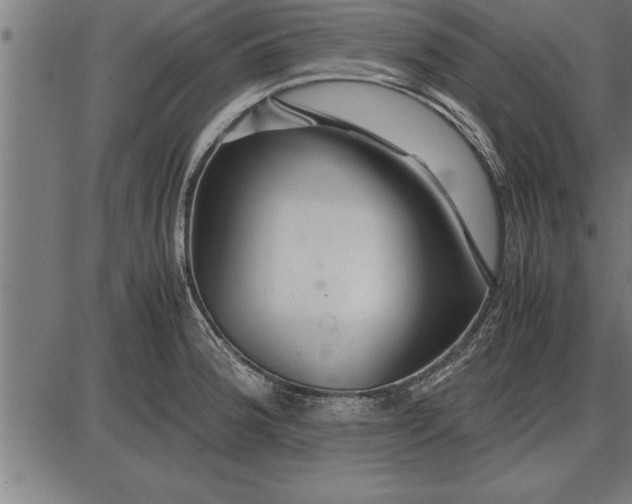 X0000086091188200704091319