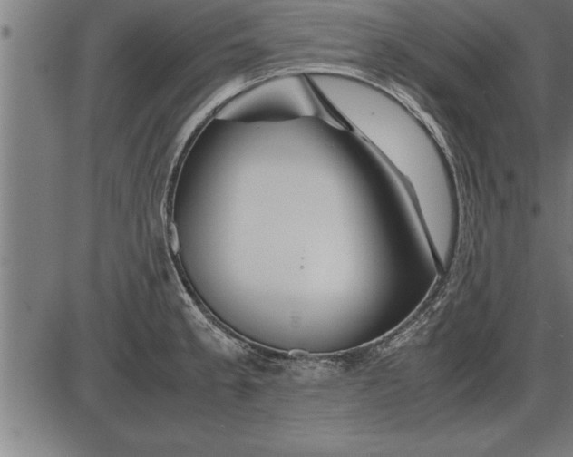 X0000086091189200704091319