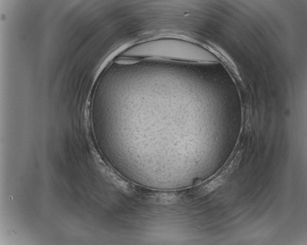 X0000086091190200704091319