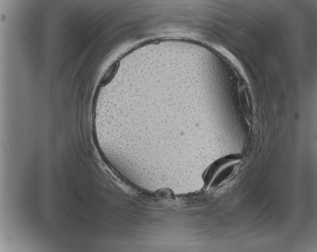 X0000086091191200704091319