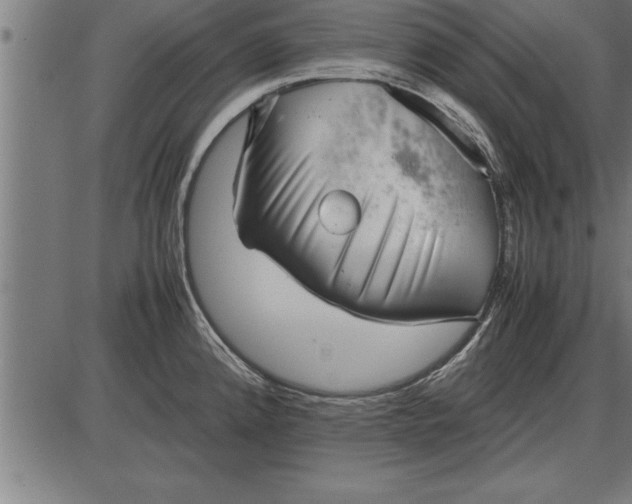 X0000086091192200704091319