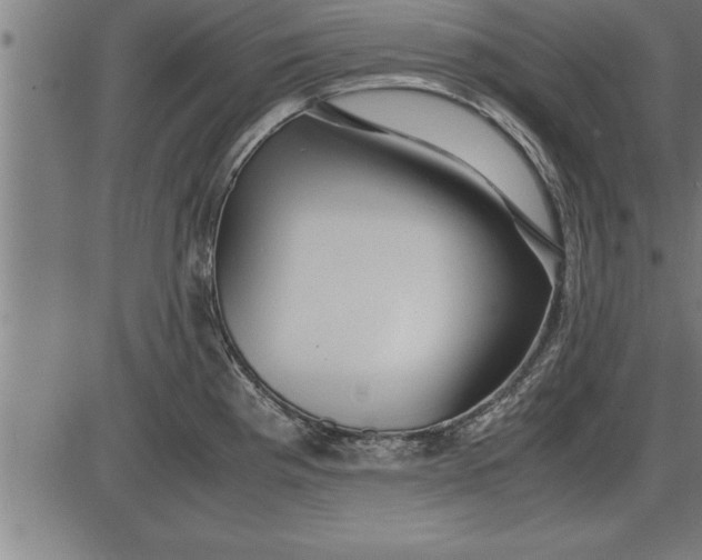 X0000086091193200704091319