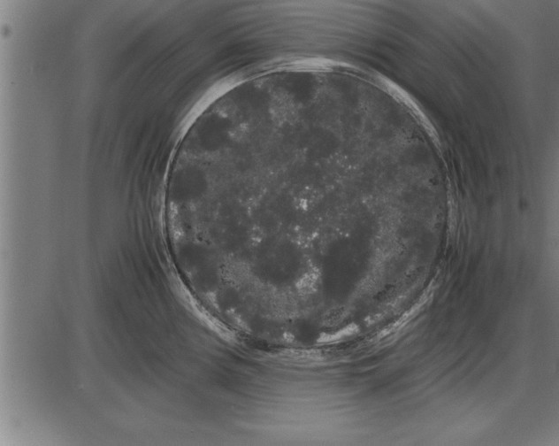 X0000086091194200704091319