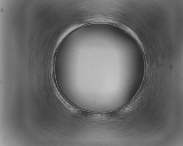 X0000086091195200704091319