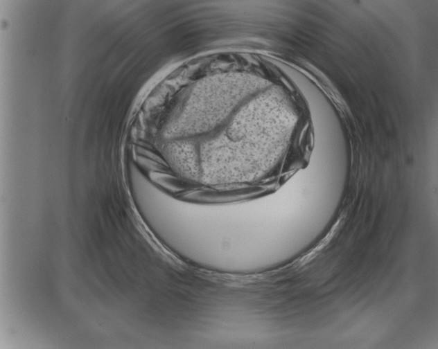 X0000086091196200704091319