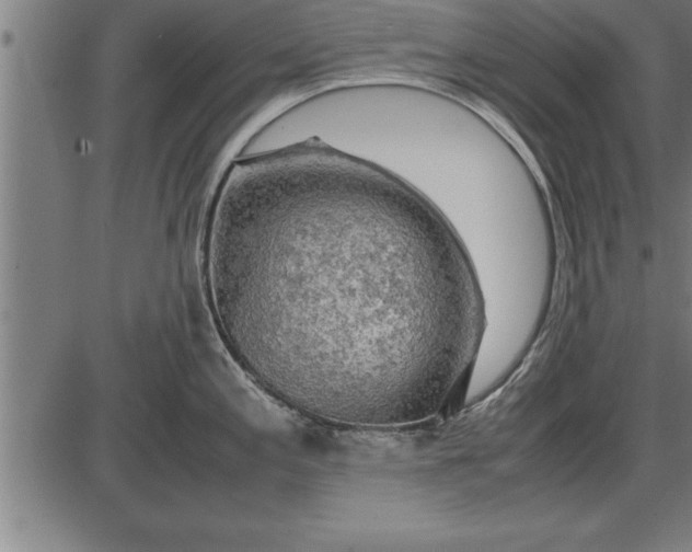 X0000086091197200704091319