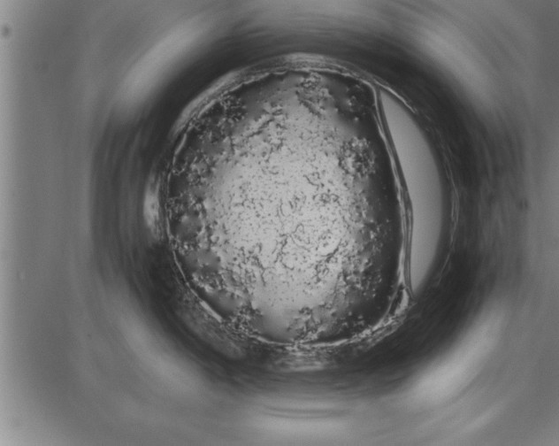 X0000086091198200704091318