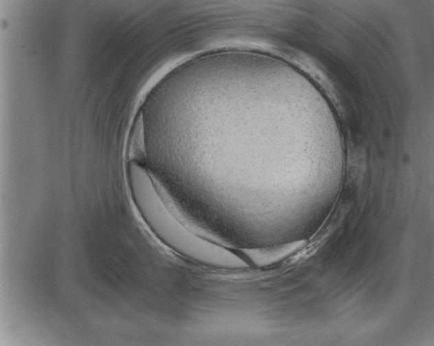 X0000086091199200704091318