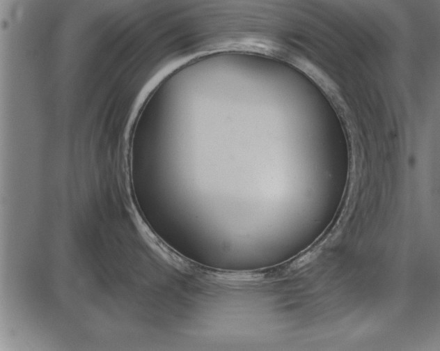 X0000086091200200704091318