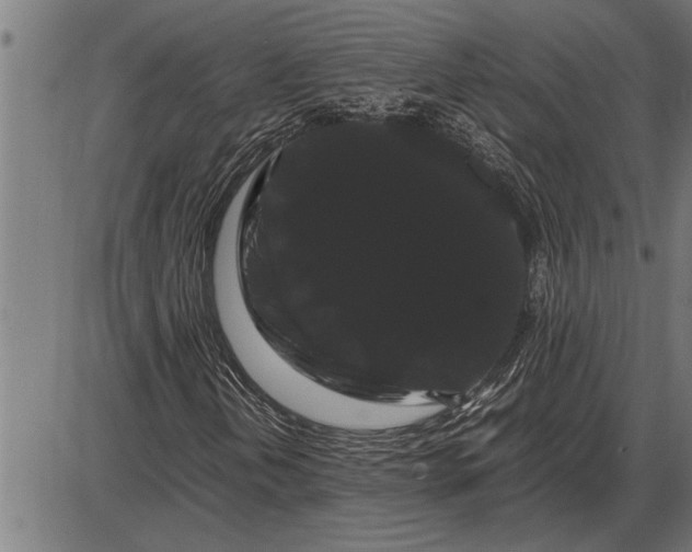 X0000086091202200704091318