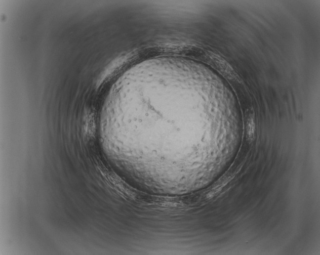 X0000086091204200704091318