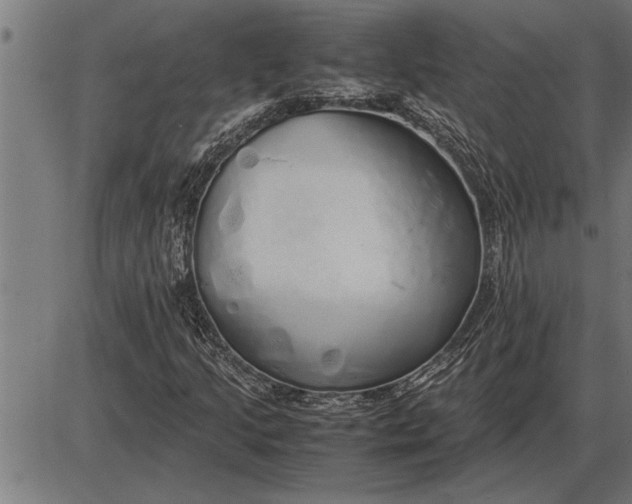 X0000086091205200704091318