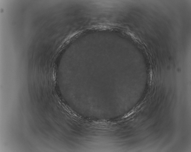 X0000086091206200704091318