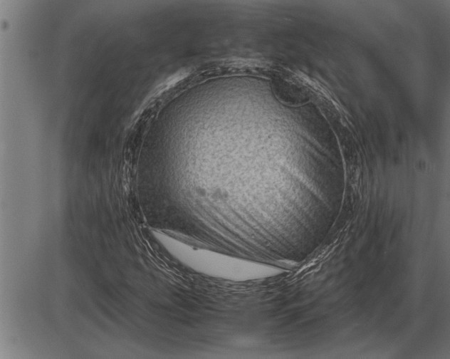 X0000086091207200704091318