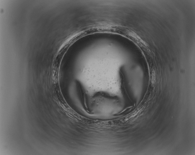 X0000086091208200704091318