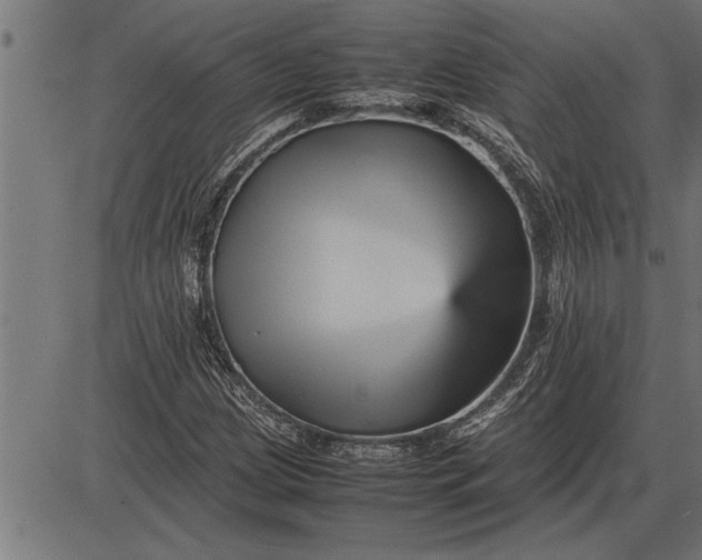 X0000086091209200704091318