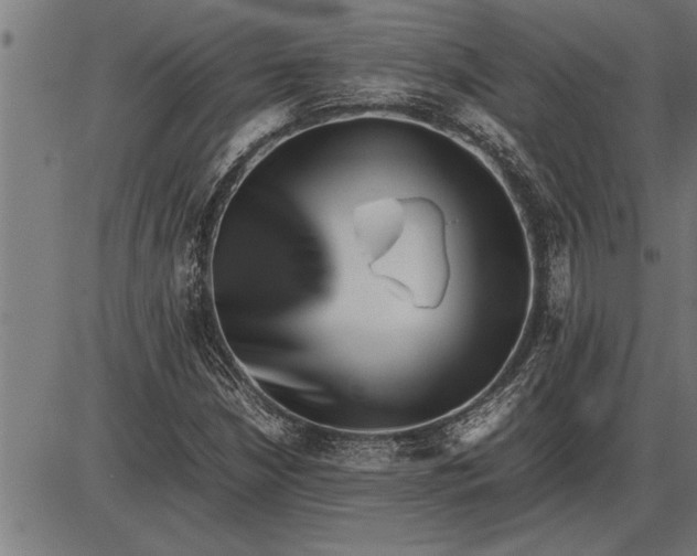 X0000086091210200704091318