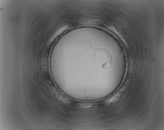 X0000086091211200704091318