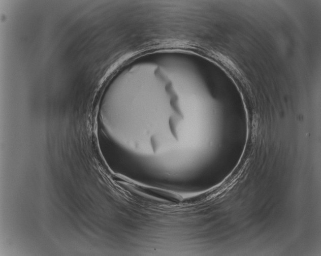 X0000086091212200704091318