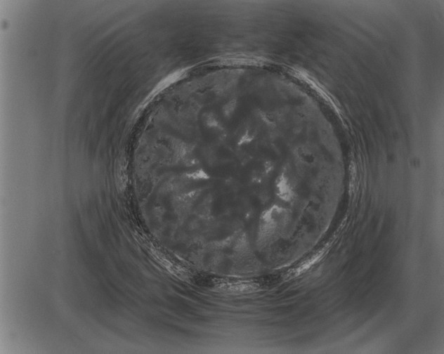 X0000086091213200704091318