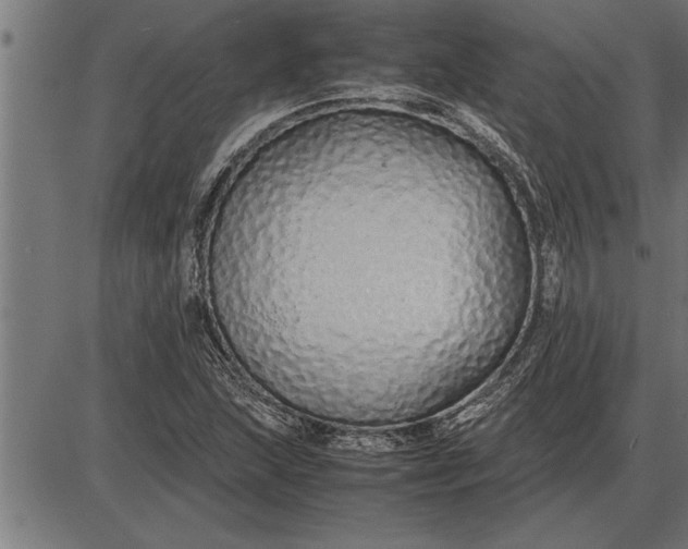 X0000086091215200704091318