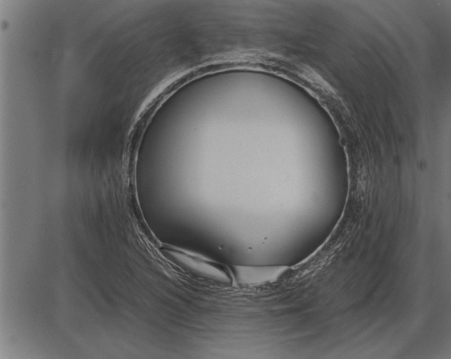 X0000086091216200704091318