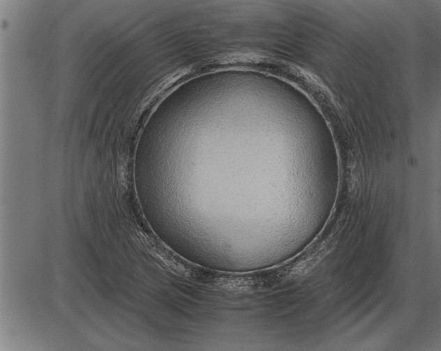 X0000086091217200704091318