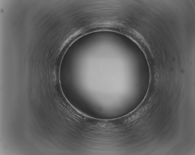 X0000086091218200704091318