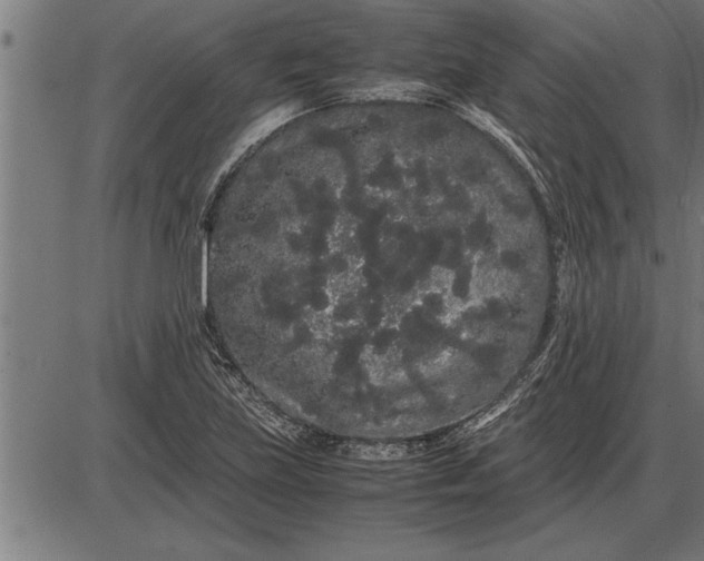 X0000086091219200704091318