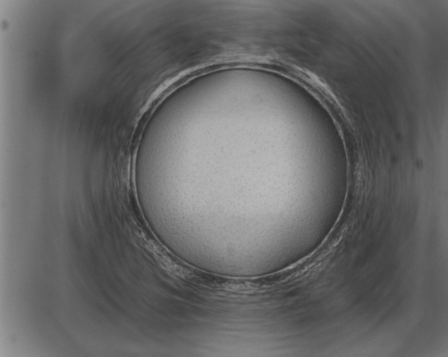 X0000086091220200704091318